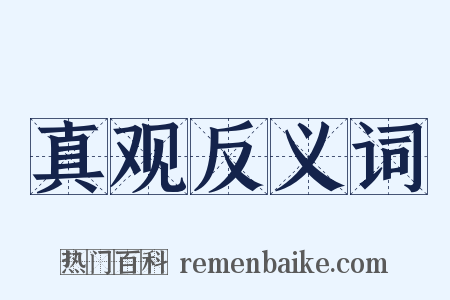 真观反义词是什么意思的图片